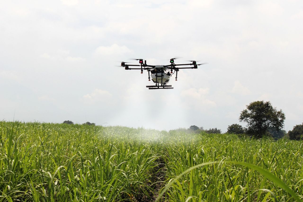 drone spraying pesticide